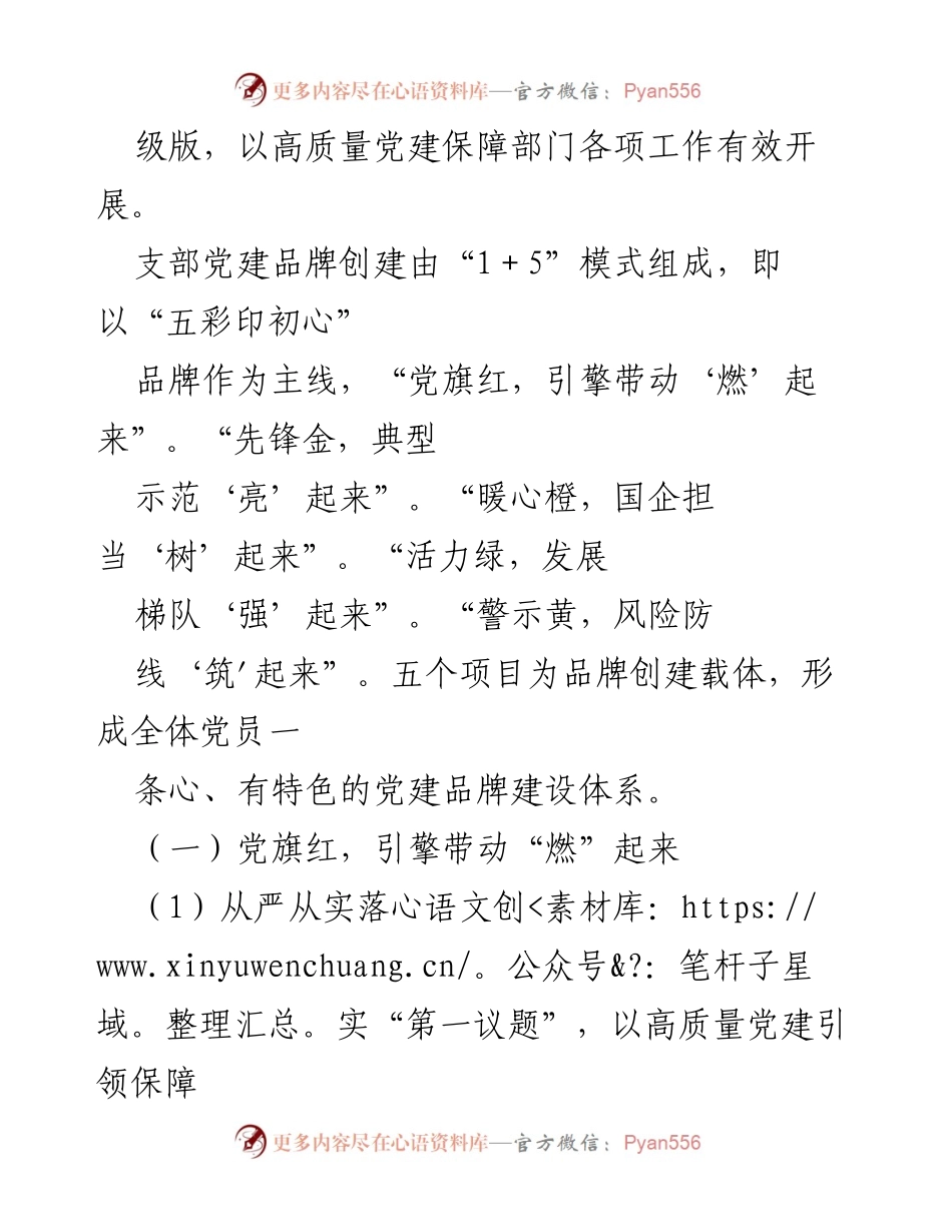 [工作方案] 企业党建 - 2024年“五彩印初心”党建品牌建设方案.docx_第2页