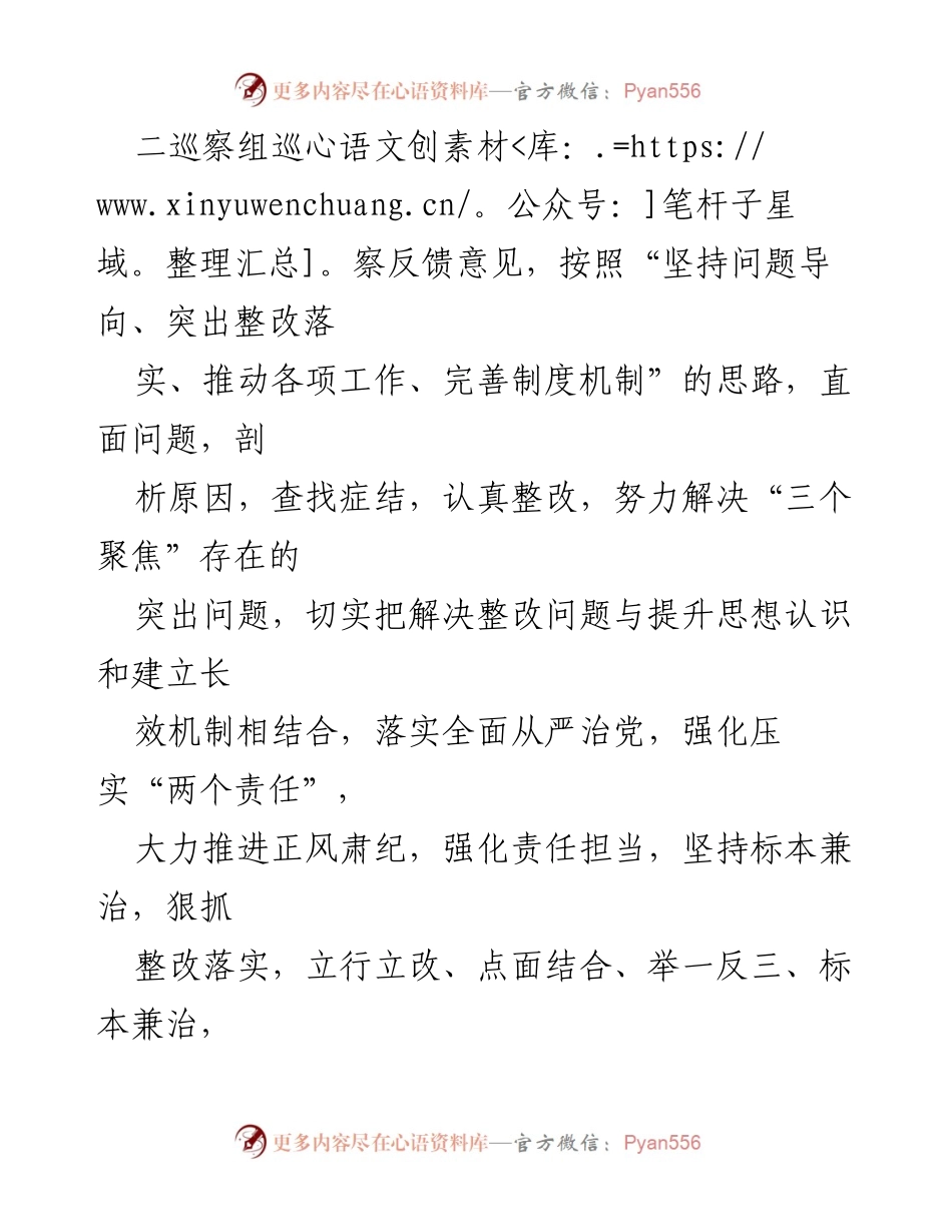 [工作方案] 巡察整改 - XX领导班子巡察反馈意见整改工作方案.docx_第2页