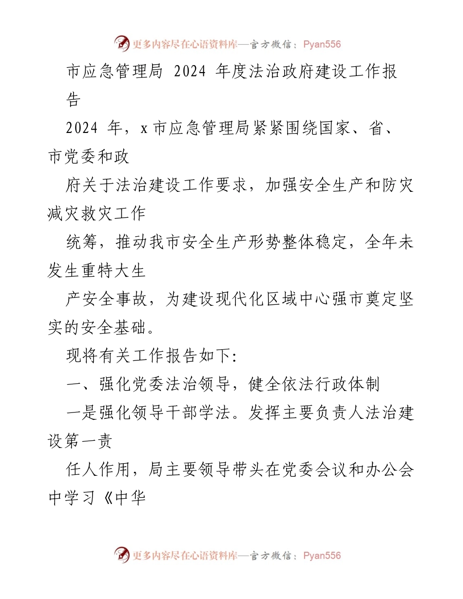 [工作报告] 应急管理局年度工作总结 - 2024年度法治政府建设工作报告.docx_第1页