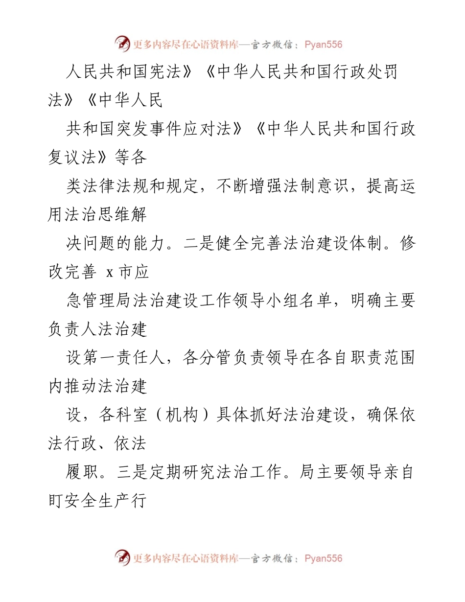 [工作报告] 应急管理局年度工作总结 - 2024年度法治政府建设工作报告.docx_第2页