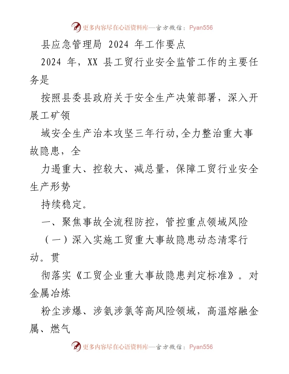 [工作要点] 2024年县工贸行业安全监管 - 2024年工贸行业安全监管工作要点.docx_第1页
