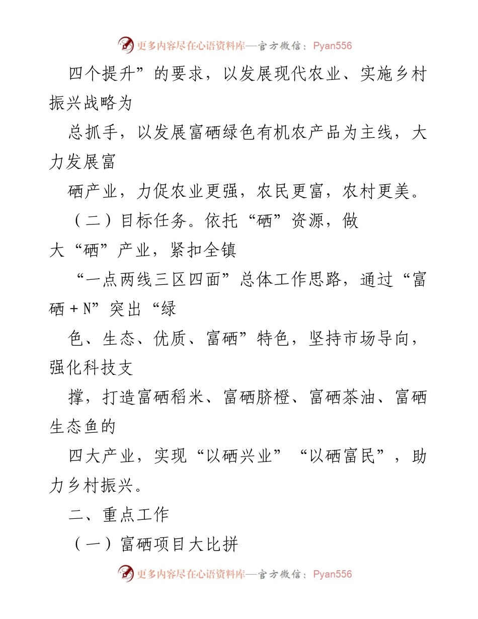 [工作方案] 镇级项目 - 2023年X镇富硒项目及乡村振兴工作方案.docx_第2页