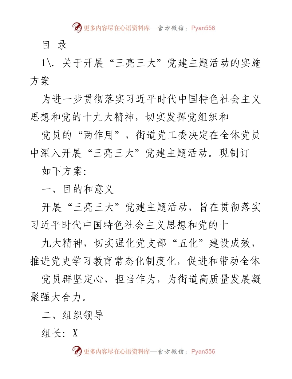 [工作方案] 开展“三亮三大”党建主题活动实施方案.docx_第1页