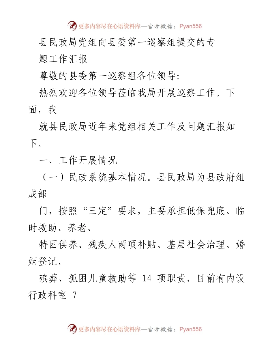 [工作汇报] 巡察工作 - 县民政局党组专题工作汇报及问题分析.docx_第1页