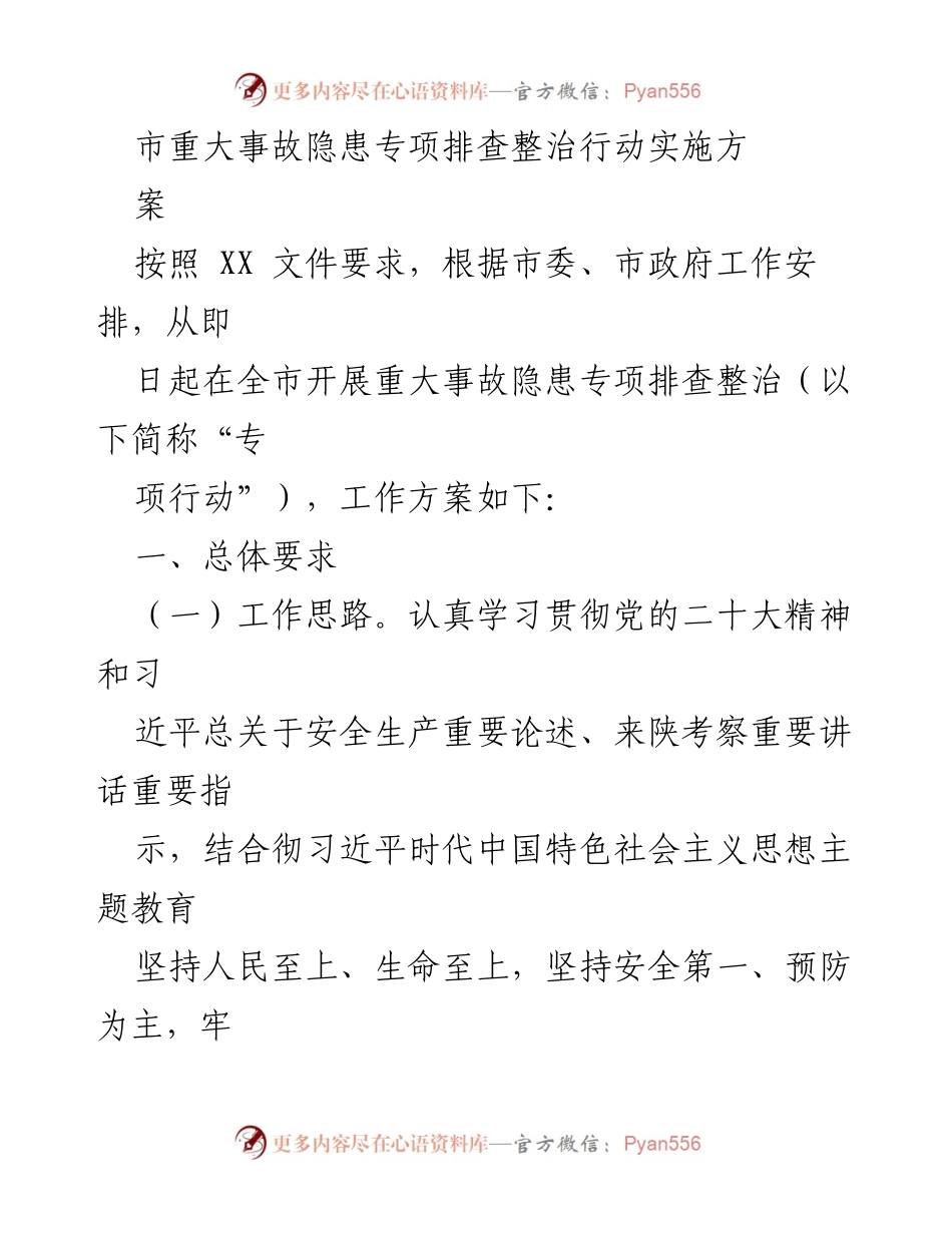 [工作方案] 安全生产 - 市重大事故隐患专项排查整治行动实施方案.docx_第1页