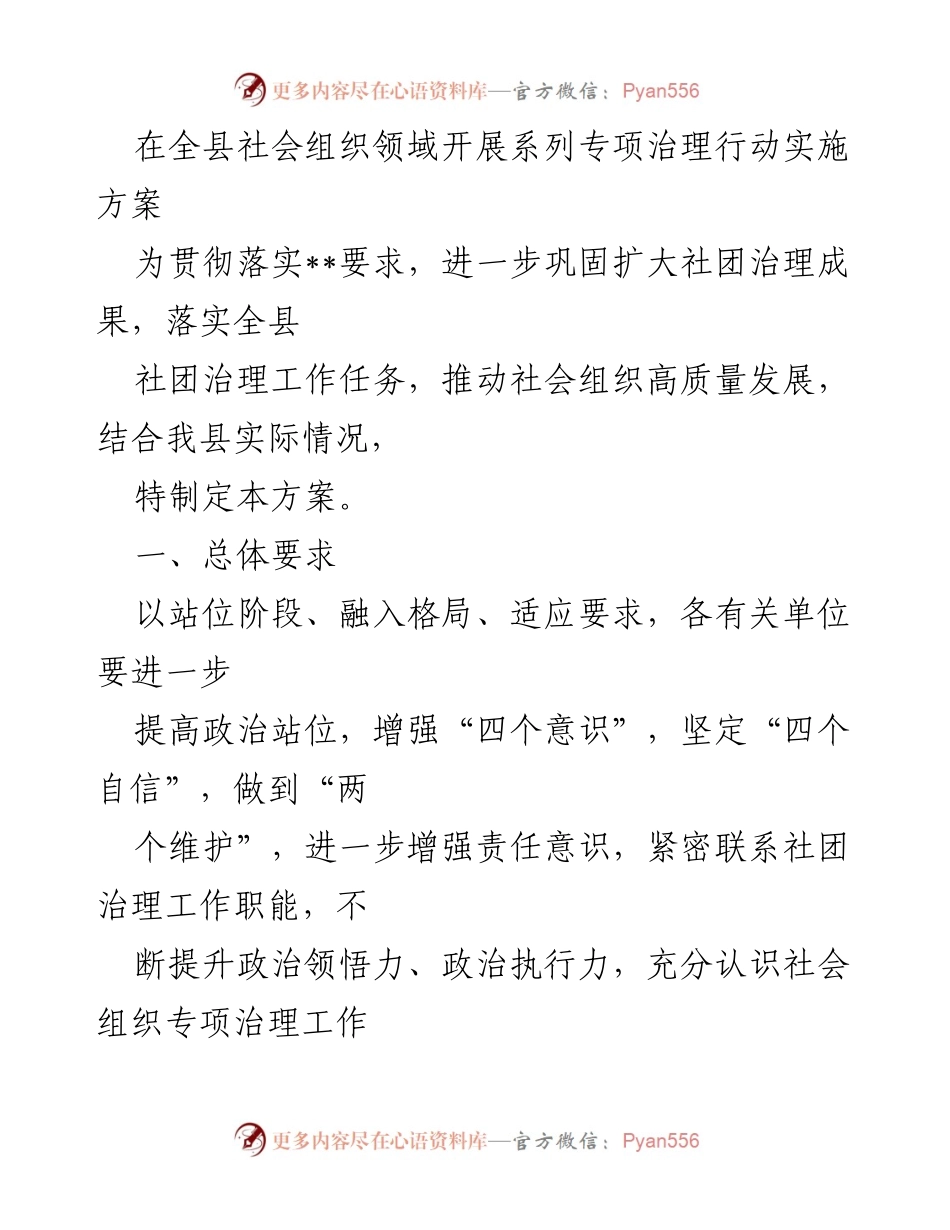 [工作方案] 社会组织专项治理 - 全县社会组织领域专项治理行动实施方案.docx_第1页