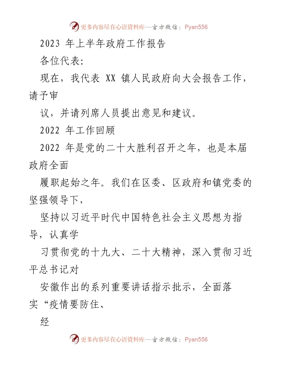 [工作报告] 政府会议 - 2023年上半年政府工作报告总结_1.docx_第1页