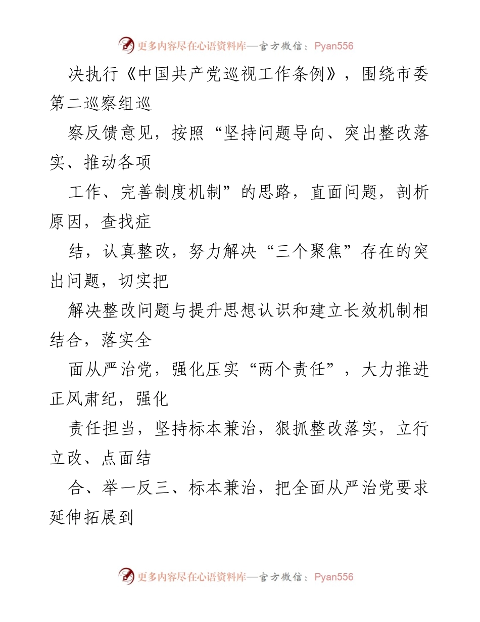 [工作方案] 巡察整改 - 落实市委巡察反馈意见的整改工作方案.docx_第2页