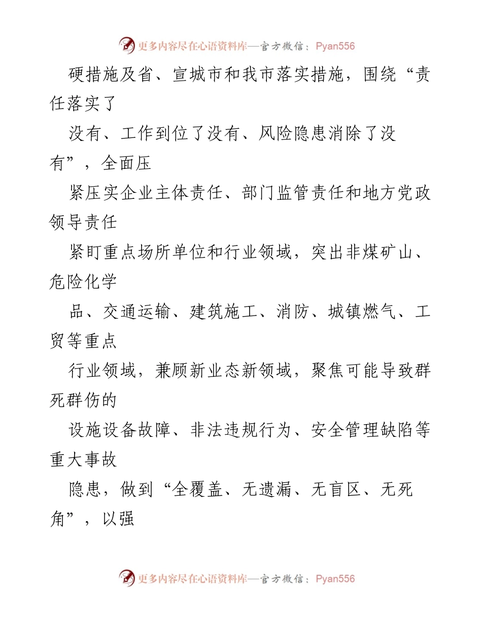 [工作方案] 安全生产 - 市重大事故隐患专项排查整治2023行动方案.docx_第2页
