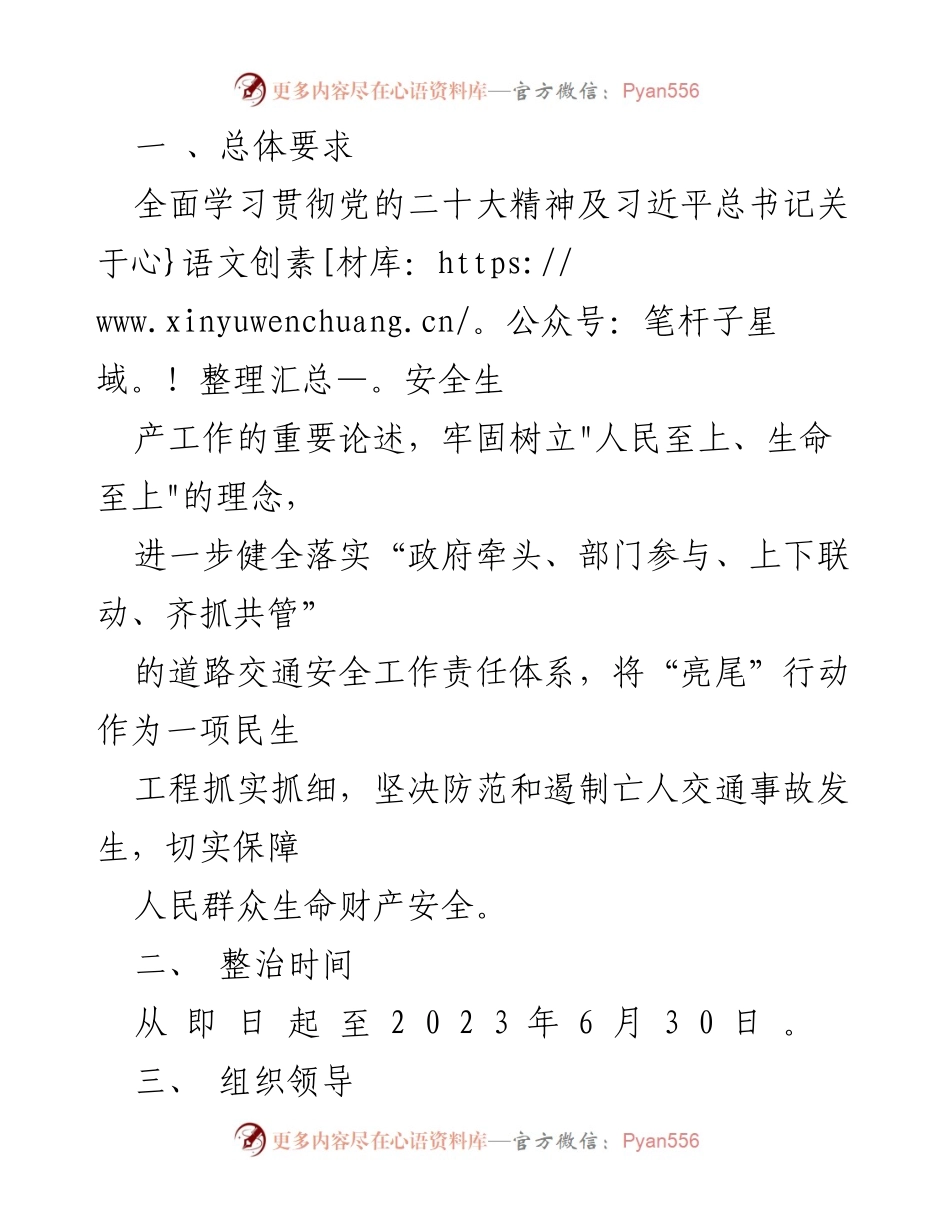 [工作方案] 镇级整治行动 - XX 镇“亮尾行动”集中整治工作实施方案.docx_第2页