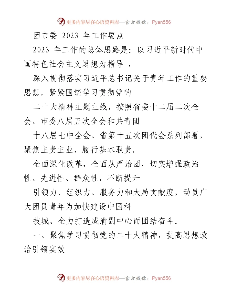 [工作要点] 团市委 2023年 - 团市委2023年工作要点与青年思想政治引领策略.docx_第1页