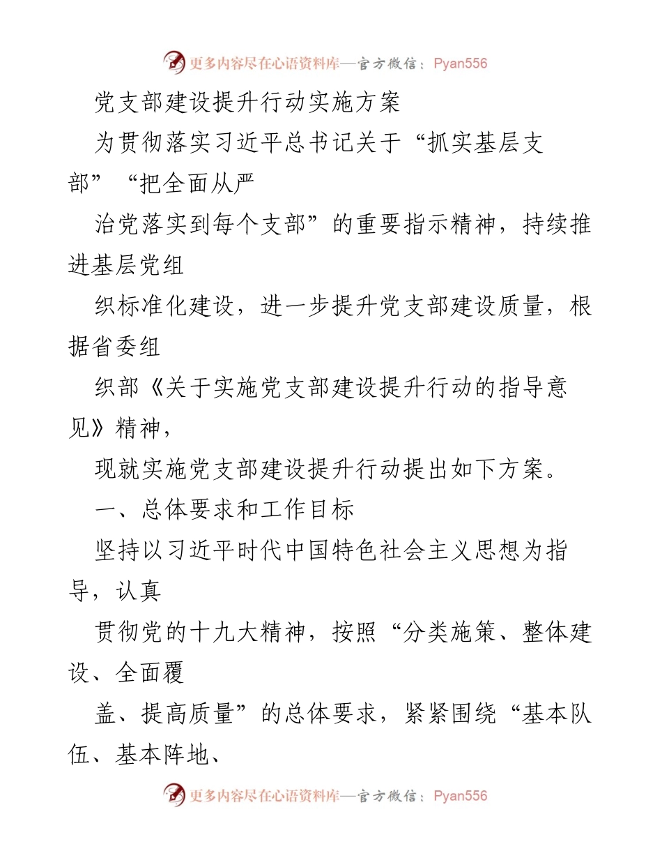 [工作方案] 党支部建设 - 党支部建设提升行动实施方案.docx_第1页