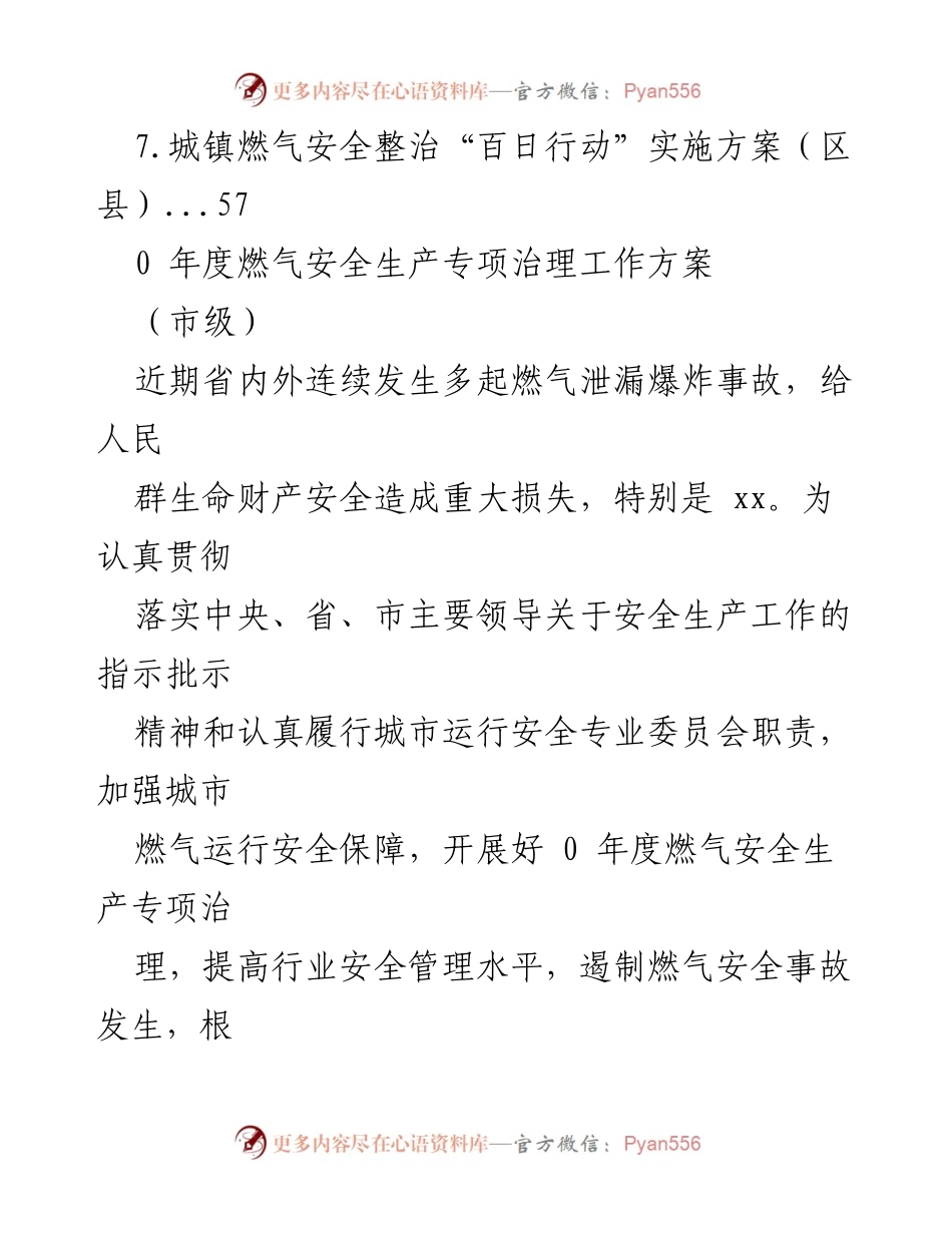 [工作方案] 年度燃气安全生产专项治理实施方案.docx_第2页