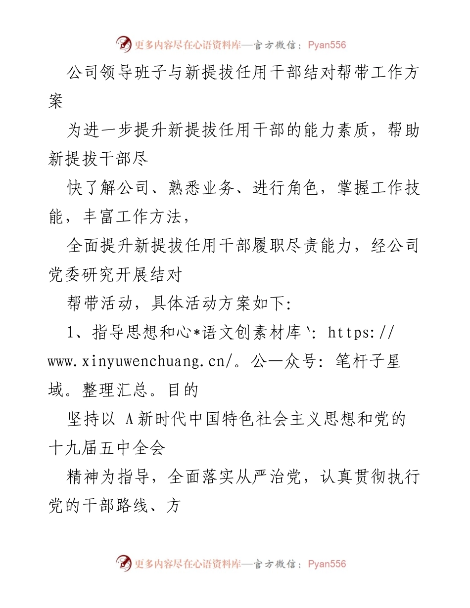 [工作方案] 干部培养 - 新提拔干部结对帮带工作方案.docx_第1页