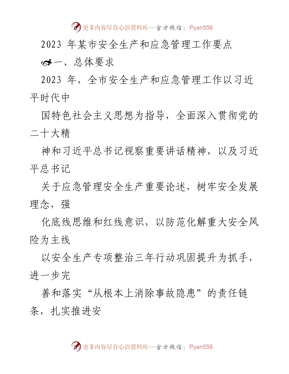 [工作要点] 安全生产与应急管理 - 2023年某市安全生产与应急管理工作要点.docx_第1页