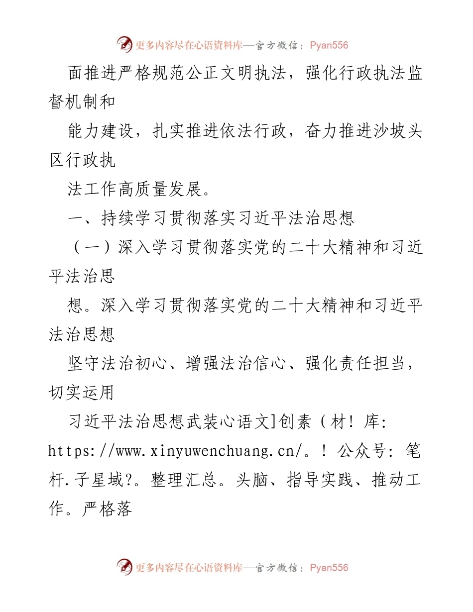 [工作要点] 2023年沙坡头区行政执法工作 - 深化法治思想，推动高质量行政执法.docx_第2页