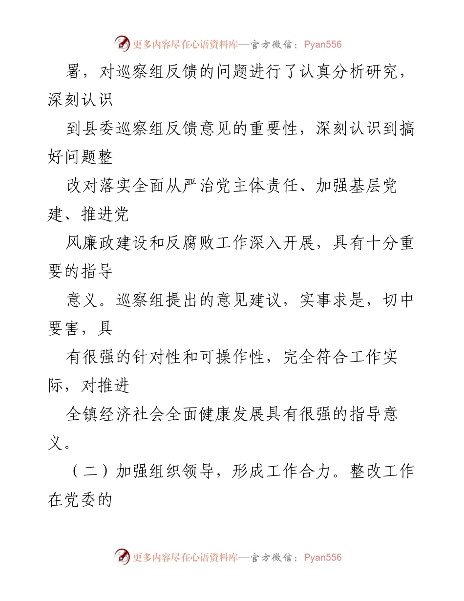[工作方案] 镇党委巡察整改 - 镇党委巡察整改工作方案.docx_第2页