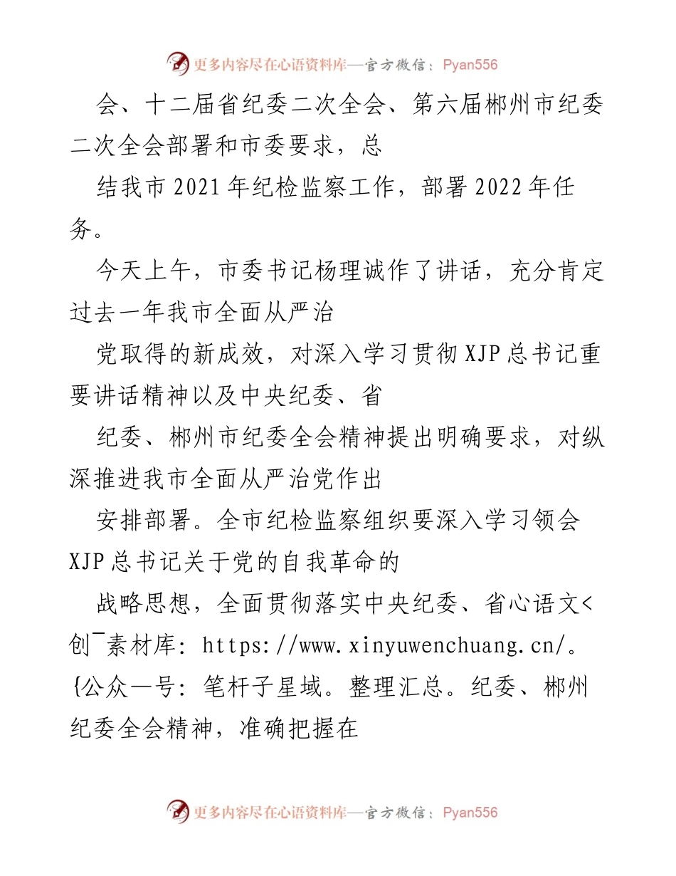 [工作报告] 资兴市第十三届纪律检查委员会第二次全体会议 - 深入推进全面从严治党，助力资兴市纪检监察工作高质量发展.docx_第2页