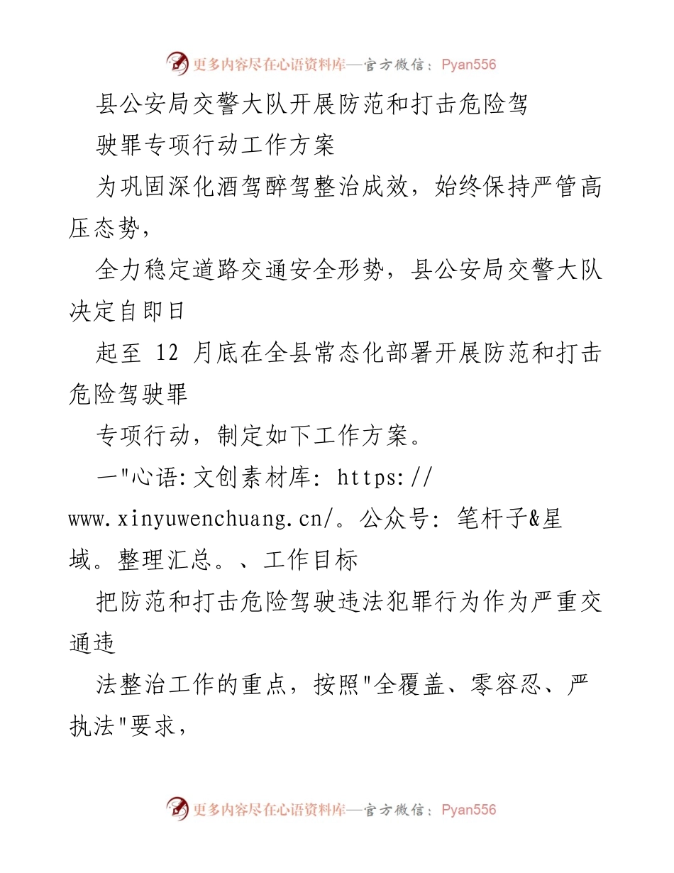 [工作方案] 公安交警大队 - 防范与打击危险驾驶罪专项行动方案.docx_第1页