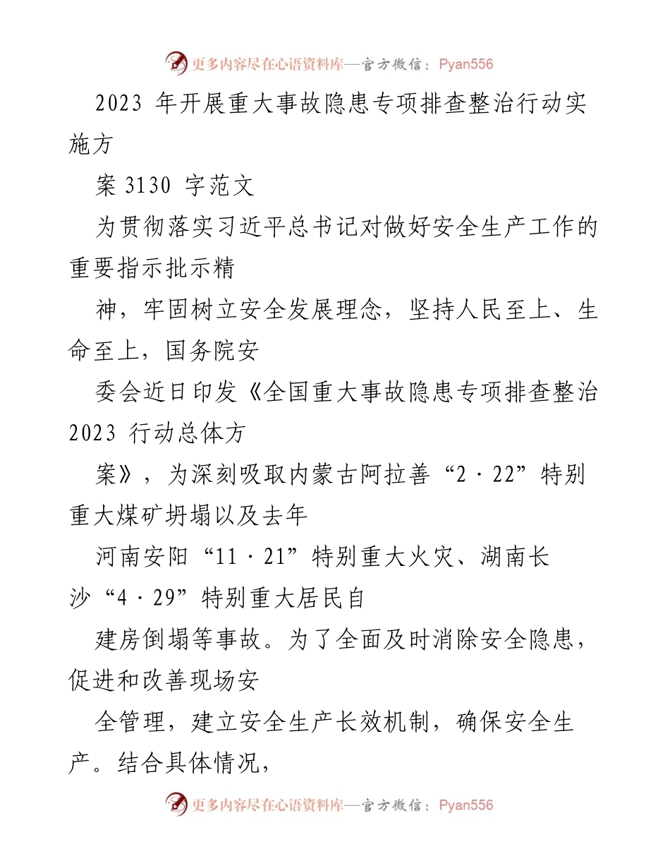 [工作方案] 安全生产会议 - 2023年重大事故隐患专项排查整治行动实施方案_1.docx_第1页