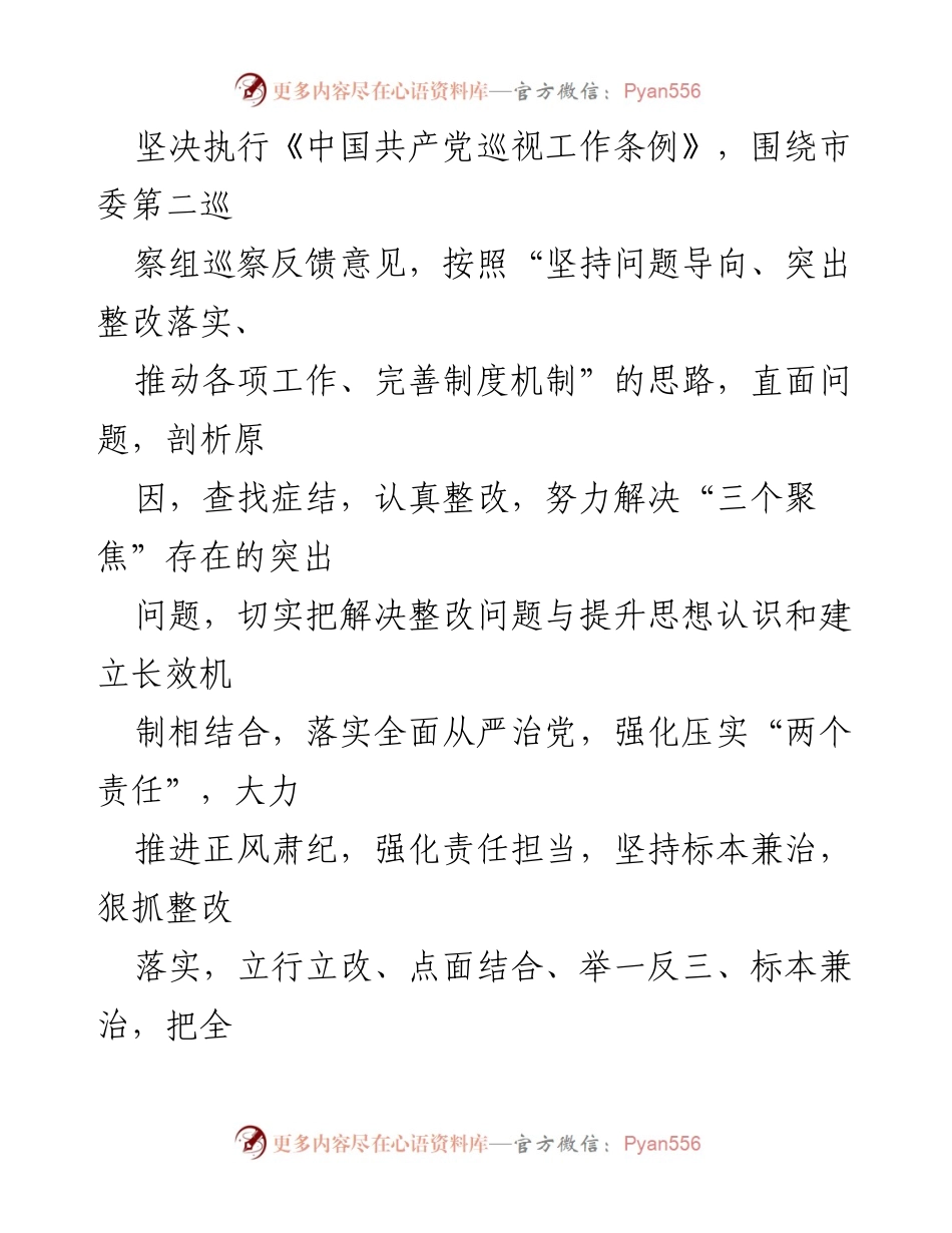 [工作方案] 巡察整改 - 2023年市委巡察反馈意见整改工作方案_1.docx_第2页
