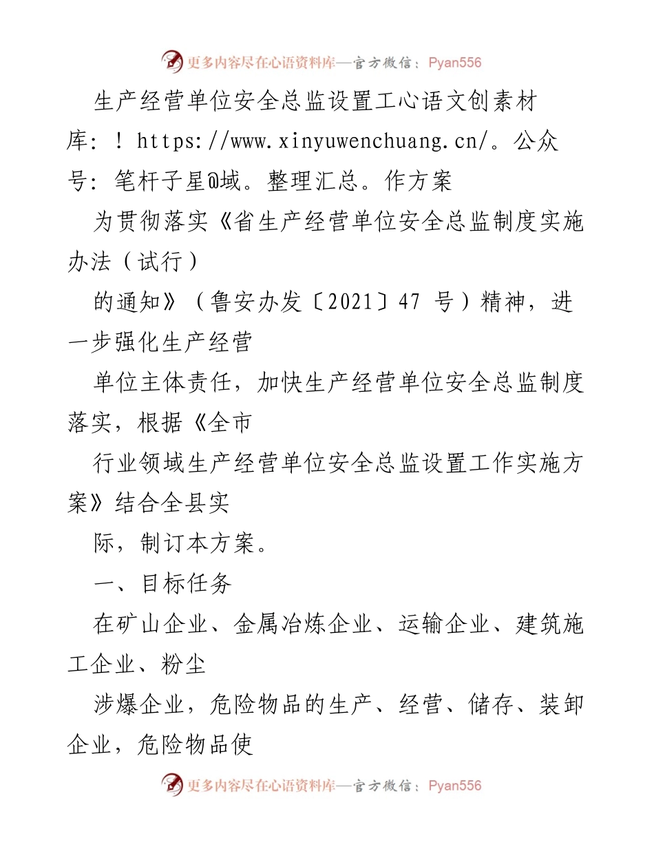 [工作方案] 安全管理 - 生产经营单位安全总监设置实施方案.docx_第1页