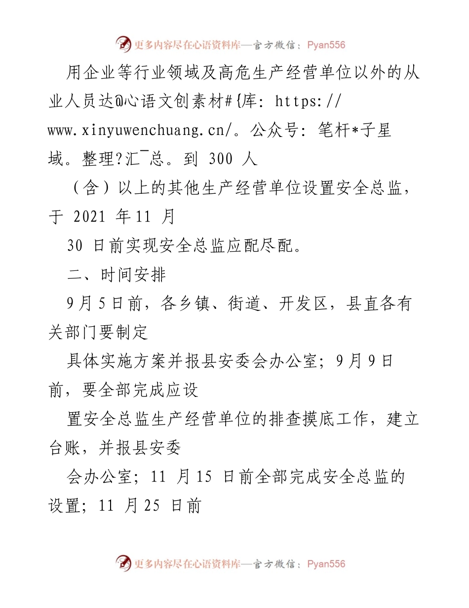 [工作方案] 安全管理 - 生产经营单位安全总监设置实施方案.docx_第2页