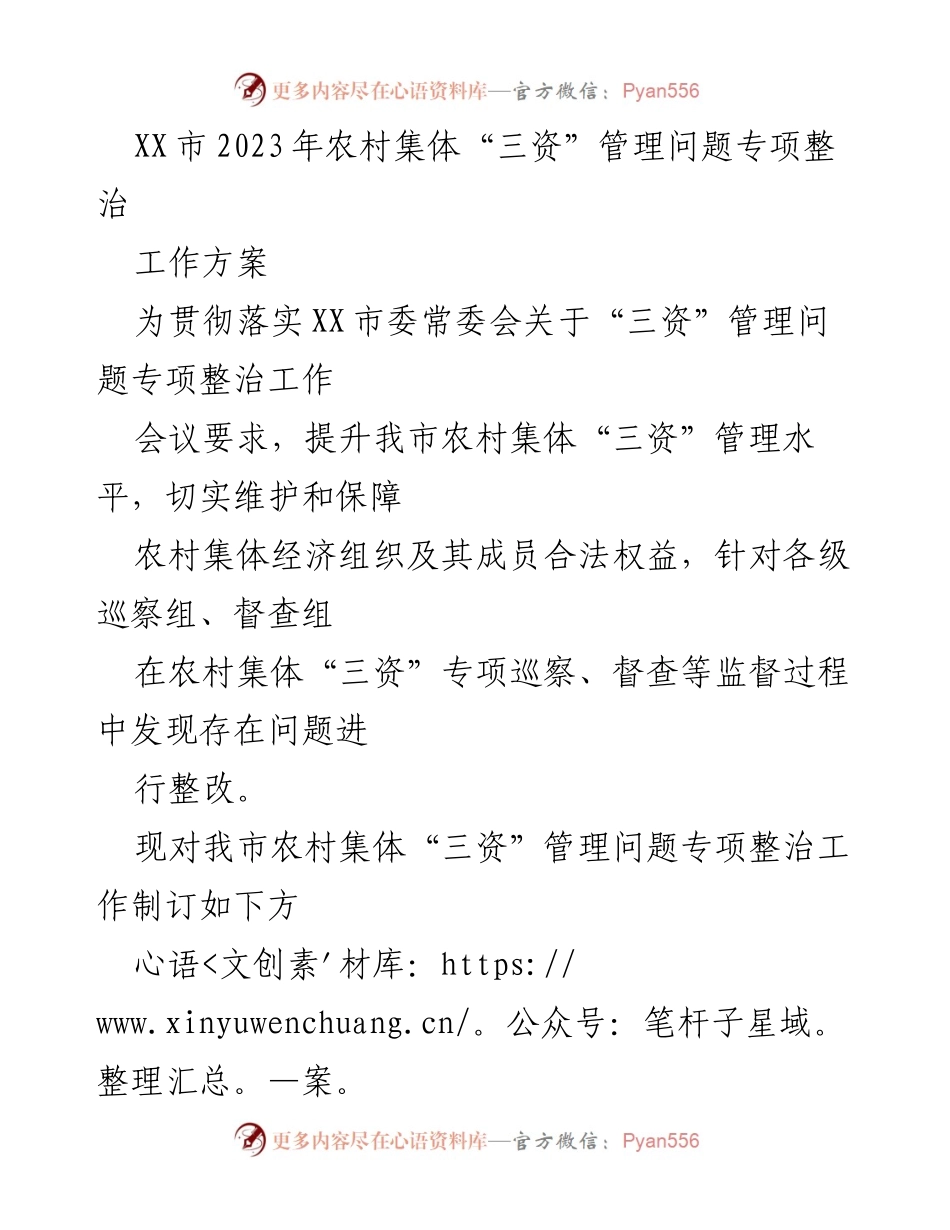 [工作方案] 农村集体经济组织 - XX市2023年农村集体“三资”管理问题专项整治工作方案.docx_第1页
