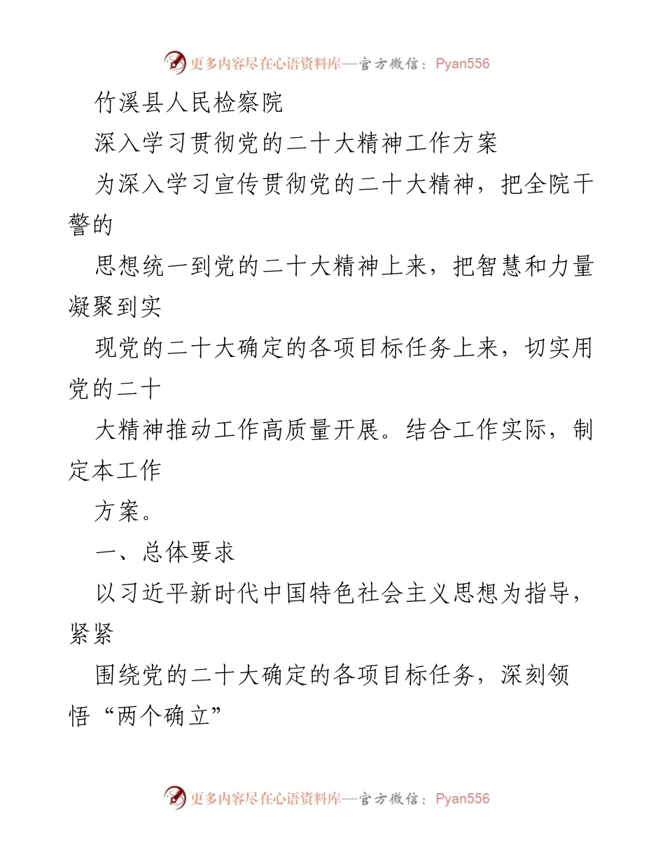 [工作方案] 竹溪县人民检察院 - 深入学习贯彻党的二十大精神的实施方案.docx_第1页