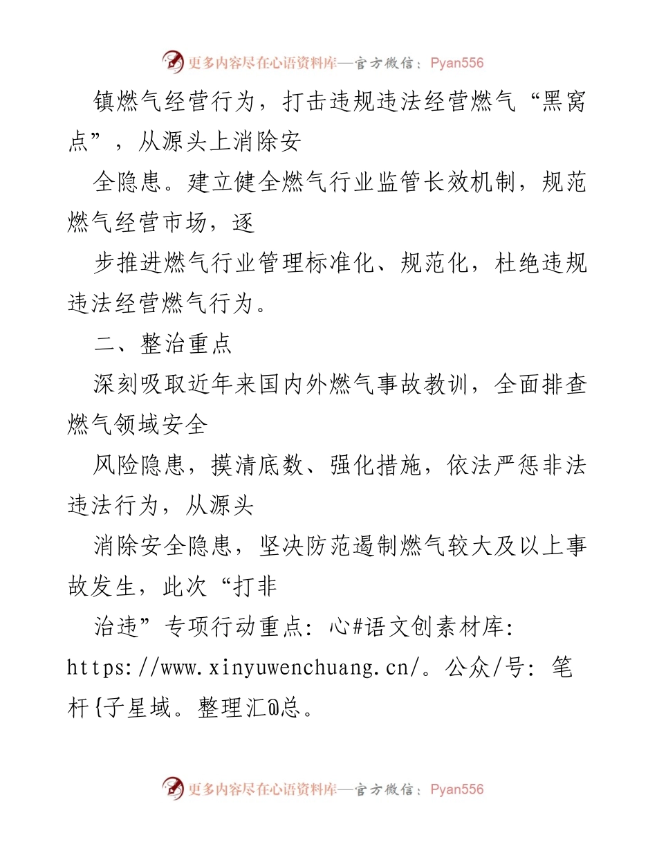 [工作方案] 专项行动 - XX县瓶装燃气市场“打非治违”专项行动实施方案.docx_第2页