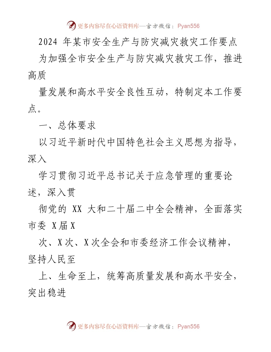 [工作要点] 安全生产与防灾减灾 - 2024年某市安全生产与防灾减灾救灾工作要点_1.docx_第1页