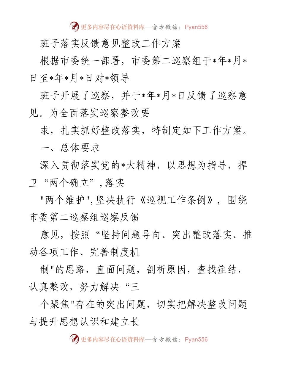 [工作方案] 巡察整改 - 班子巡察反馈意见整改工作方案.docx_第1页