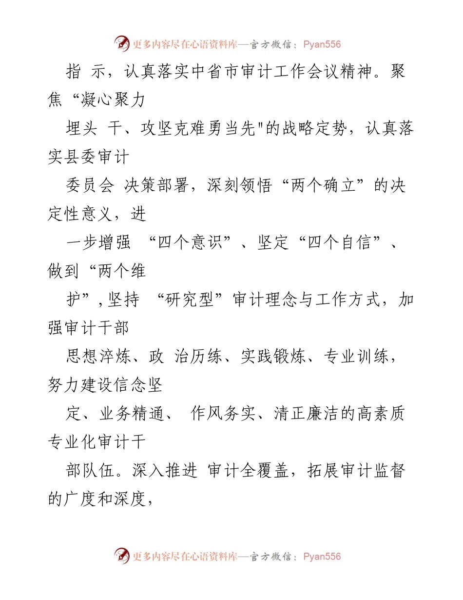 [工作方案] 审计局 - XX县审计局审计工作高质量发展实施方案.docx_第2页