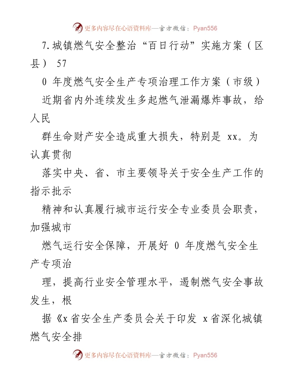 [工作方案] 城镇燃气安全整治“百日行动”实施方案及年度专项治理工作计划.docx_第2页