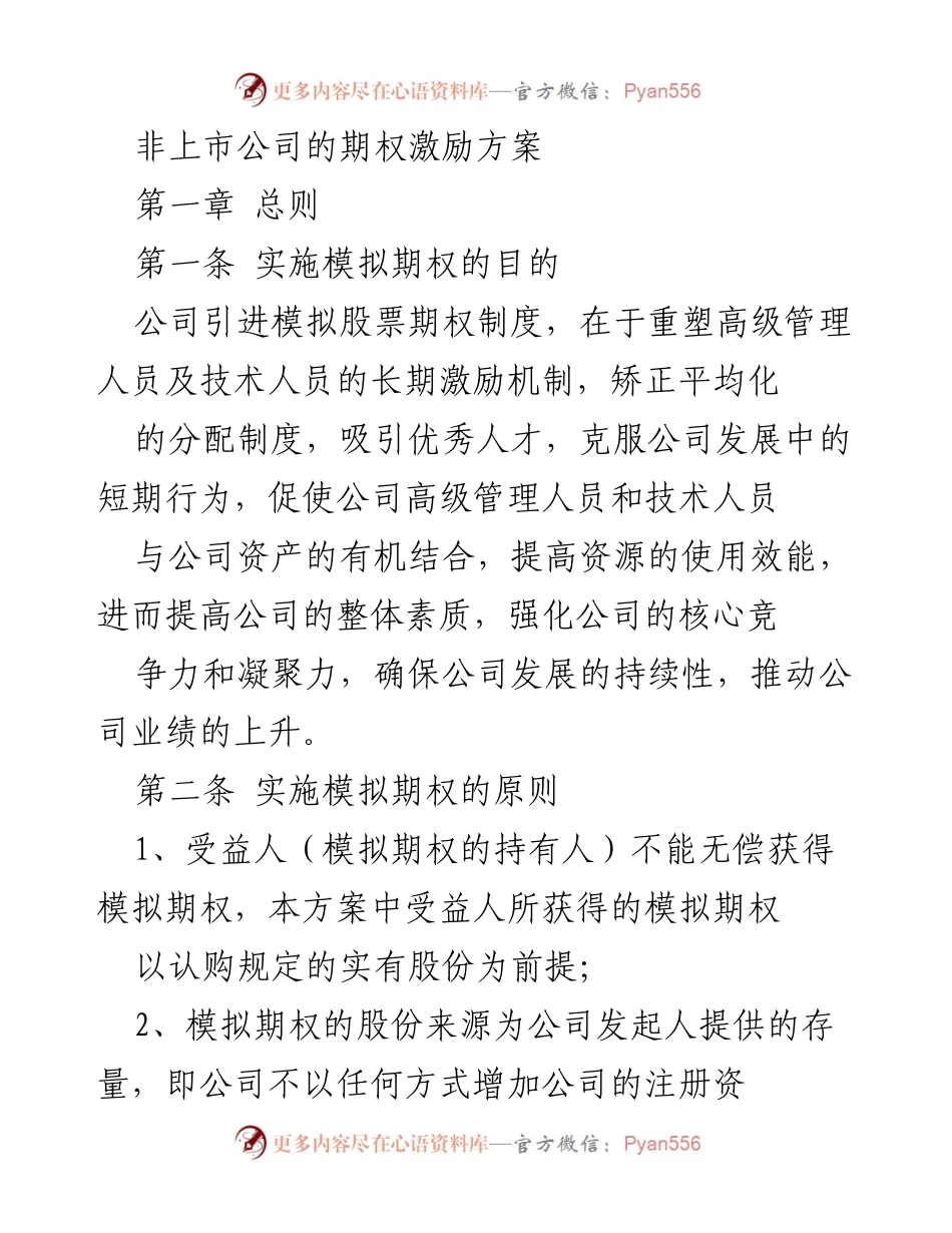 [工作方案] 非上市公司 - 非上市公司模拟股票期权激励方案概述.docx_第1页