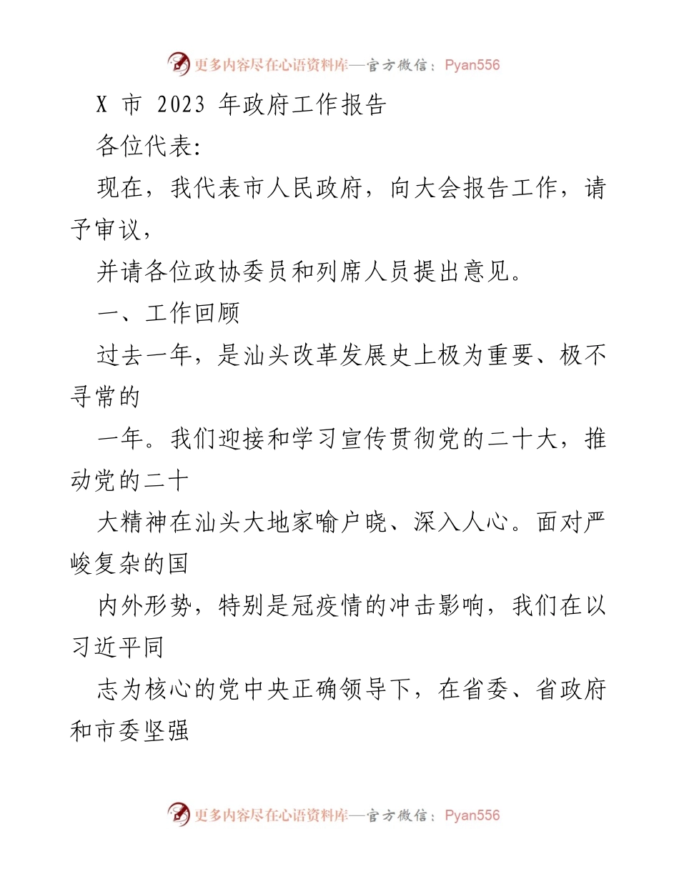 [工作报告] 政府会议 - 2023年X市政府工作报告_2.docx_第1页