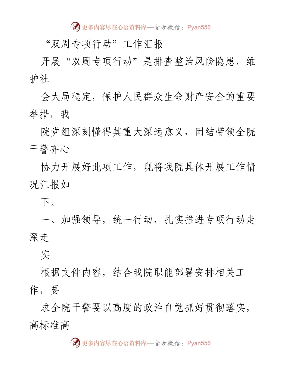 [工作汇报] 双周专项行动 - 深入推进“双周专项行动”工作总结.docx_第1页