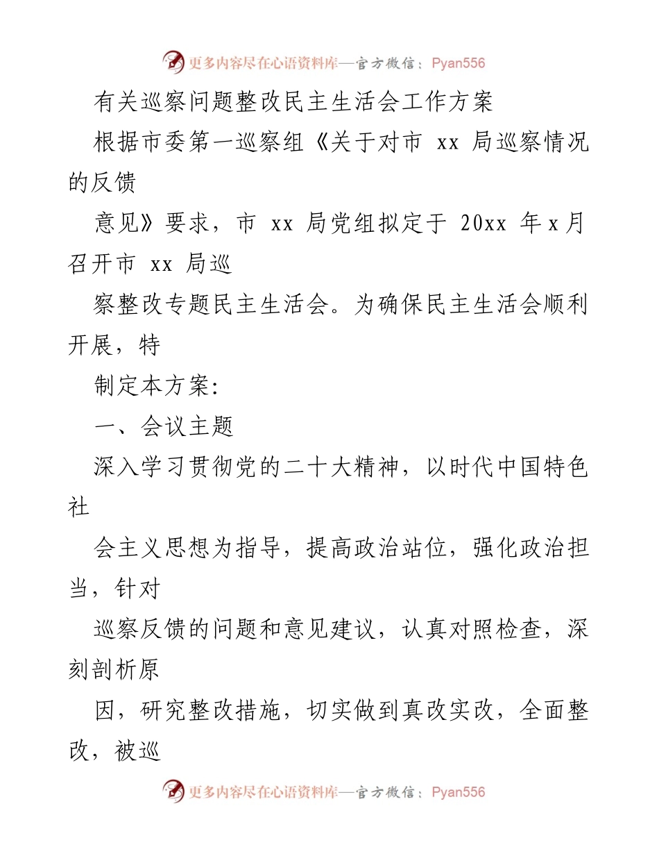 [工作方案] 巡察整改 - 市 xx 局巡察问题整改专题民主生活会工作方案_2.docx_第1页