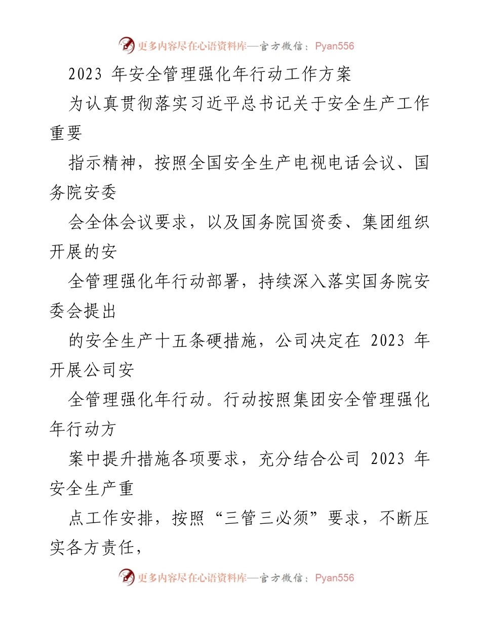 [工作方案] 安全管理强化年 - 2023年安全管理强化年行动工作方案.docx_第1页