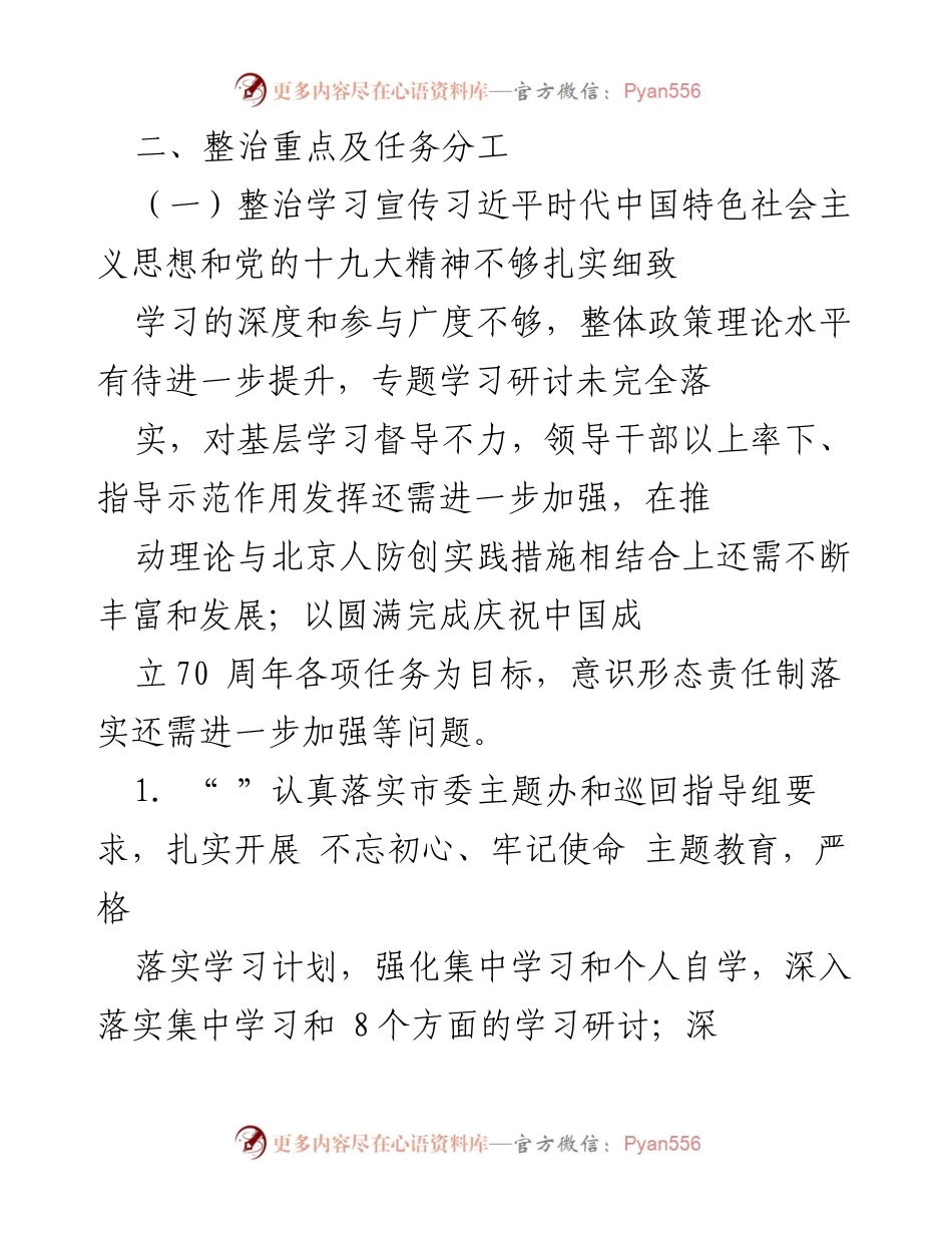 [工作方案] 主题教育 - 不忘初心、牢记使命专项整治工作方案.docx_第2页