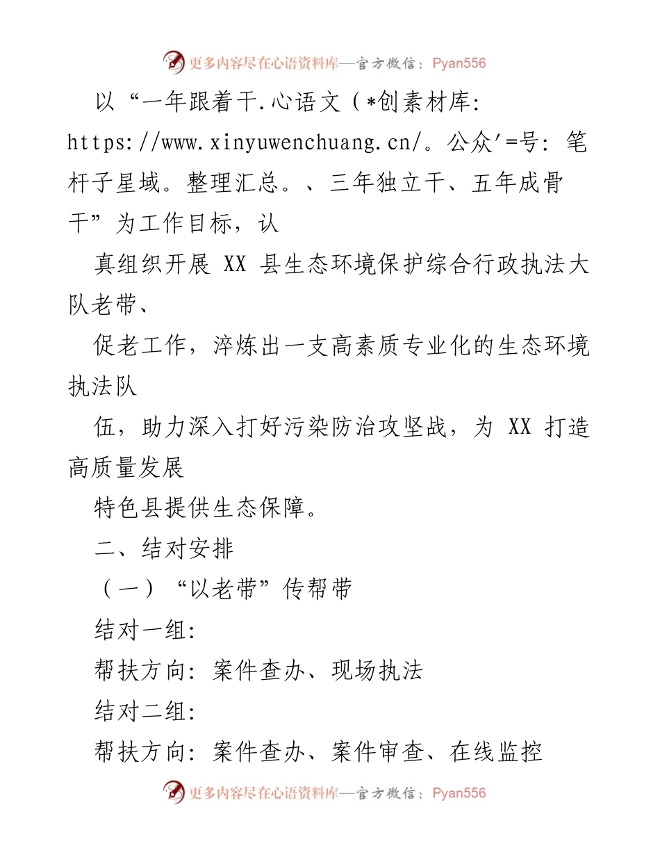 [工作方案] 培训与提升 - XX县生态环境执法队伍“以老带”传帮带实施方案.docx_第2页