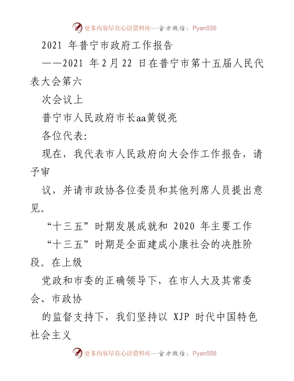 [工作报告] 政府会议 - 2021年普宁市政府工作报告总结与展望.docx_第1页
