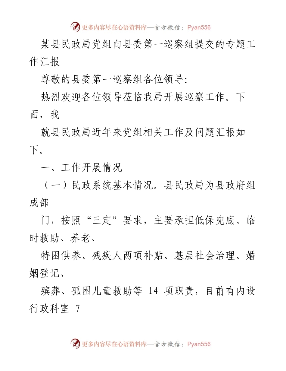 [工作汇报] 巡察工作 - 县民政局党组专项工作汇报及问题分析.docx_第1页