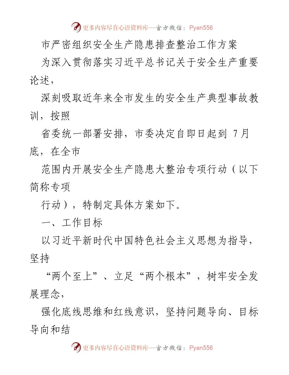 [工作方案] 安全生产隐患排查整治 - 市安全生产隐患排查整治专项行动工作方案.docx_第1页