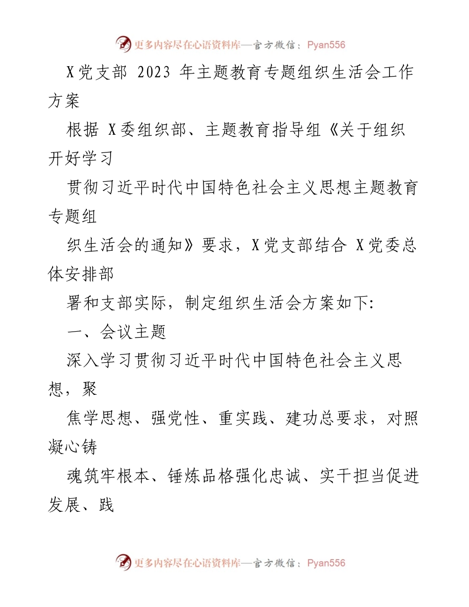 [工作方案] 党支部会议 - 2023年X党支部主题教育专题组织生活会工作方案.docx_第1页