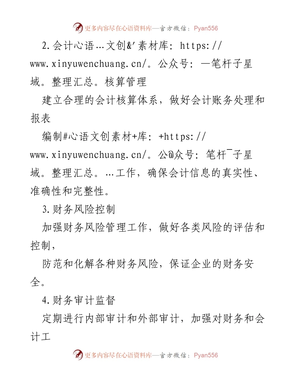 [工作方案] 企业管理 - 财会监督方案概述.docx_第2页