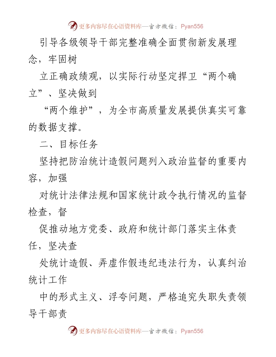 [工作方案] 统计造假专项治理 - X市统计造假专项治理行动工作方案.docx_第2页