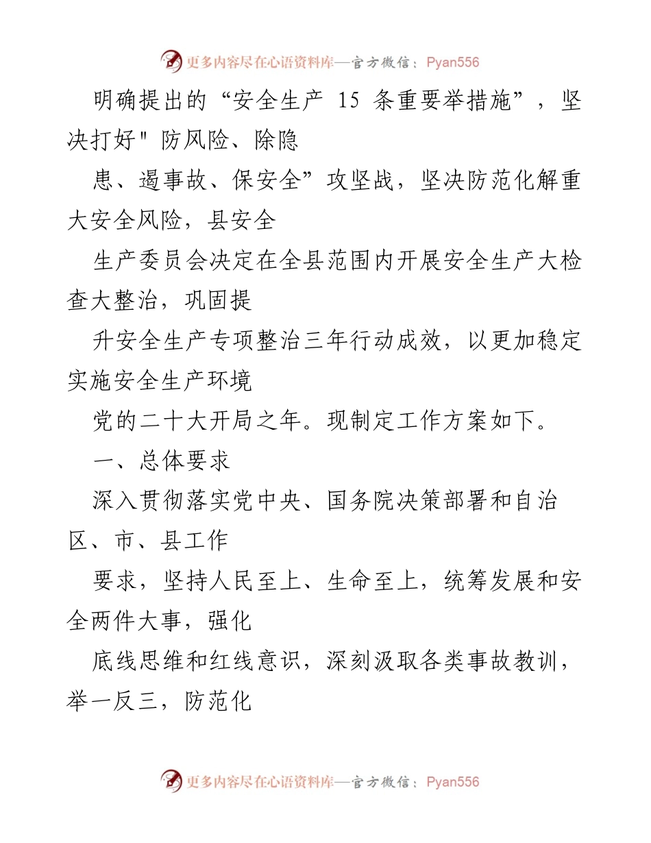 [工作方案] 安全生产检查 - 2023年重大事故隐患专项排查整治行动方案.docx_第2页