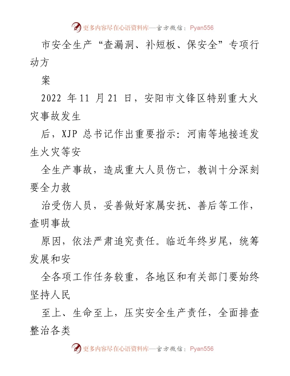 [工作方案] 安全生产专项行动 - 市安全生产“查漏洞、补短板、保安全”专项行动工作方案.docx_第1页