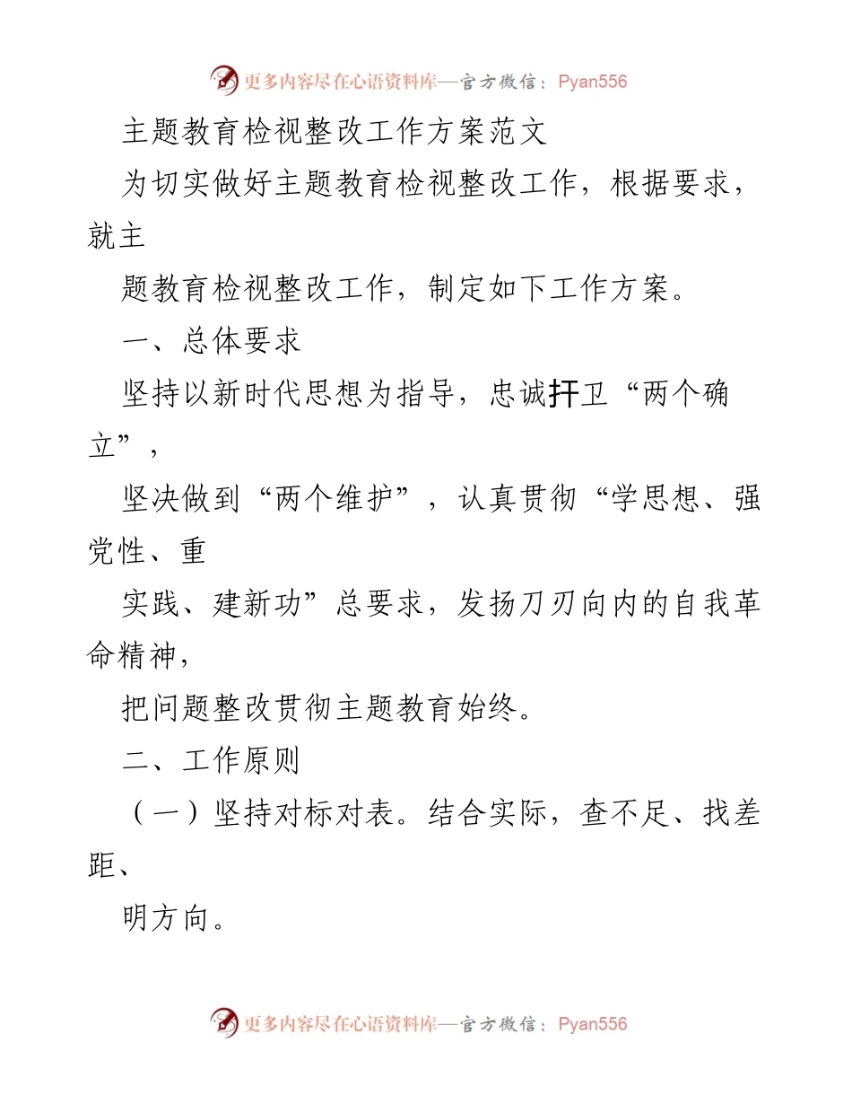 [工作方案] 主题教育 - 主题教育检视整改工作方案实施指南.docx_第1页